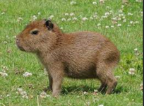 Снимок экрана_20230130_054327.png