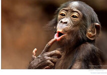 bandicam 2022-07-23 00-55-08-310.jpg