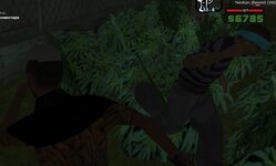 Скриншот 17-01-2024 234756.jpg