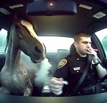 мы с степой.jpg