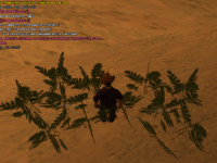 Без назви-1.png