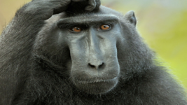 1728188772596.png 1728188772596.png