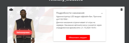 Снимок экрана 2024-10-21 121559.png