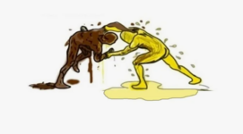 1730390019379.png 1730390019379.png