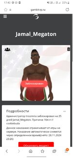 Screenshot_20241105-174228_Samsung Internet.jpg