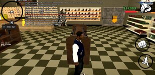 Screenshot_20241129-202122_Alyn SA-MP Mobile.jpg