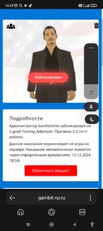 Screenshot_2024-12-08-16-59-53-321_com.yandex.searchapp.jpg