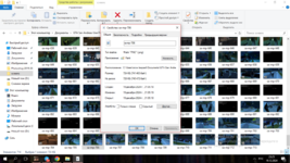 Снимок экрана (15).png