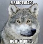 Ауф: что это значит и при чем тут мемы и волки - KP.RU