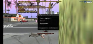 Screenshot_20250202-113612_Alyn SA-MP Mobile.jpg