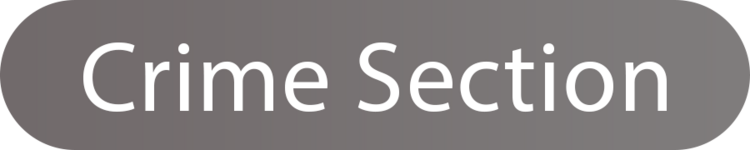 crime section.png