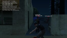 gallery199.jpg gallery199.jpg