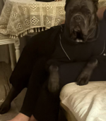 Снимок экрана 2026-02-09 в 00.09.35.png