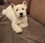 Снимок экрана 2026-02-09 в 00.09.53.png