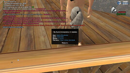 photo_2026-02-22_16-21-17 (2).jpg