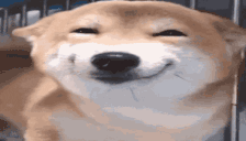 1782052049542.gif