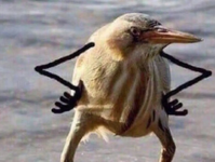 1783178357546.png