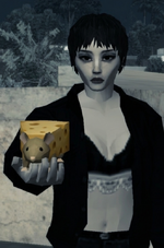 2026-07-27_20-37-58.png