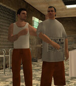 gallery248.jpg